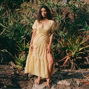 Christy Dawn Augusta Dress, Golden Pollinator Garden Print, Small